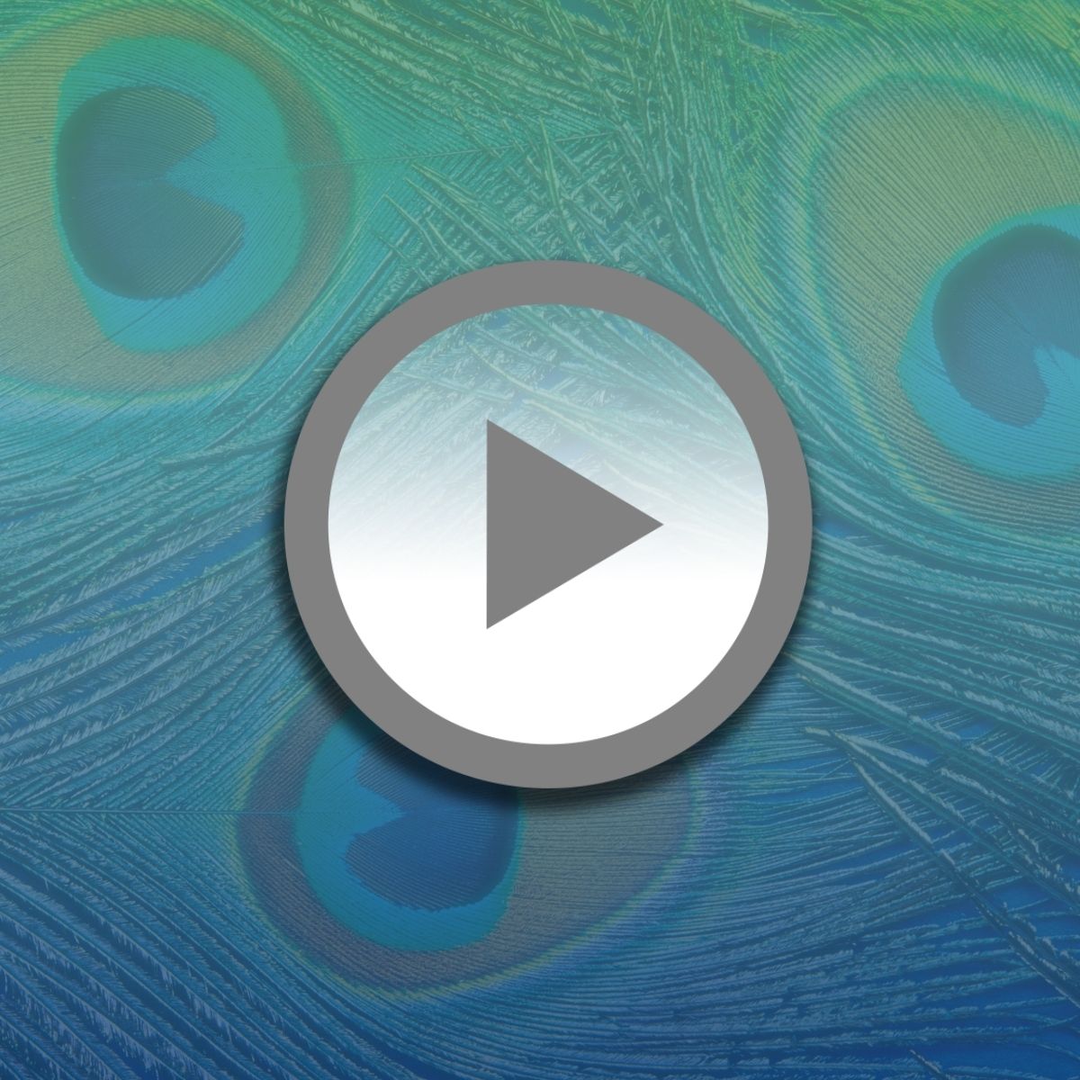 Nadja Polzin_Quantum Field Healing nach D Hamilton